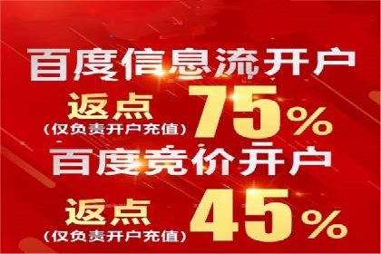 科技公司SEM外包战略的案例研究